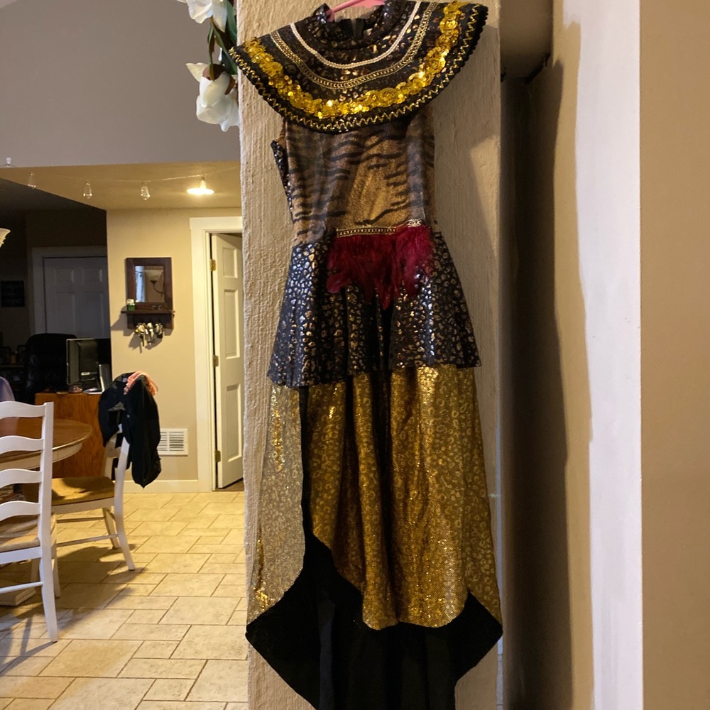 Chasing Fireflies Tribal Queen size 10/12  costume